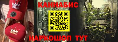 гидра Тара