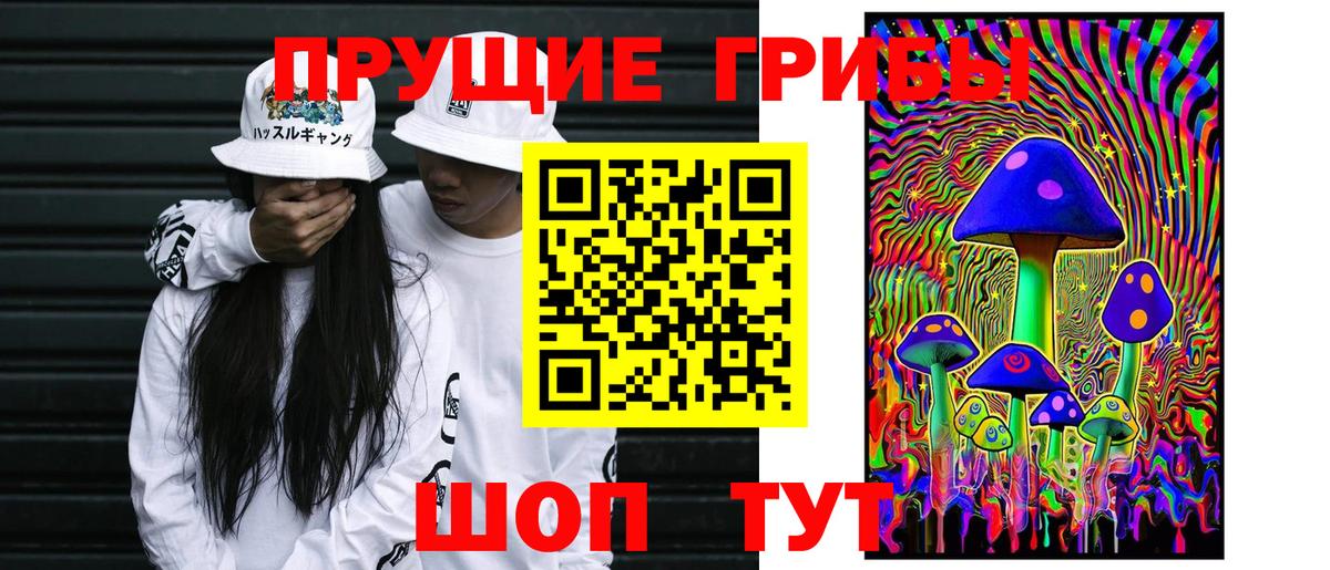 Псилоцибиновые грибы прущие грибы Скопин