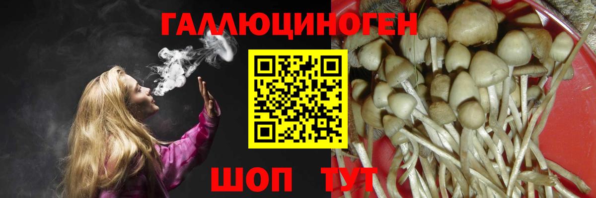 Галлюциногенные грибы Psilocybine cubensis  Вход с VPN  Скопин  Псилоцибиновые грибы ЛСД 